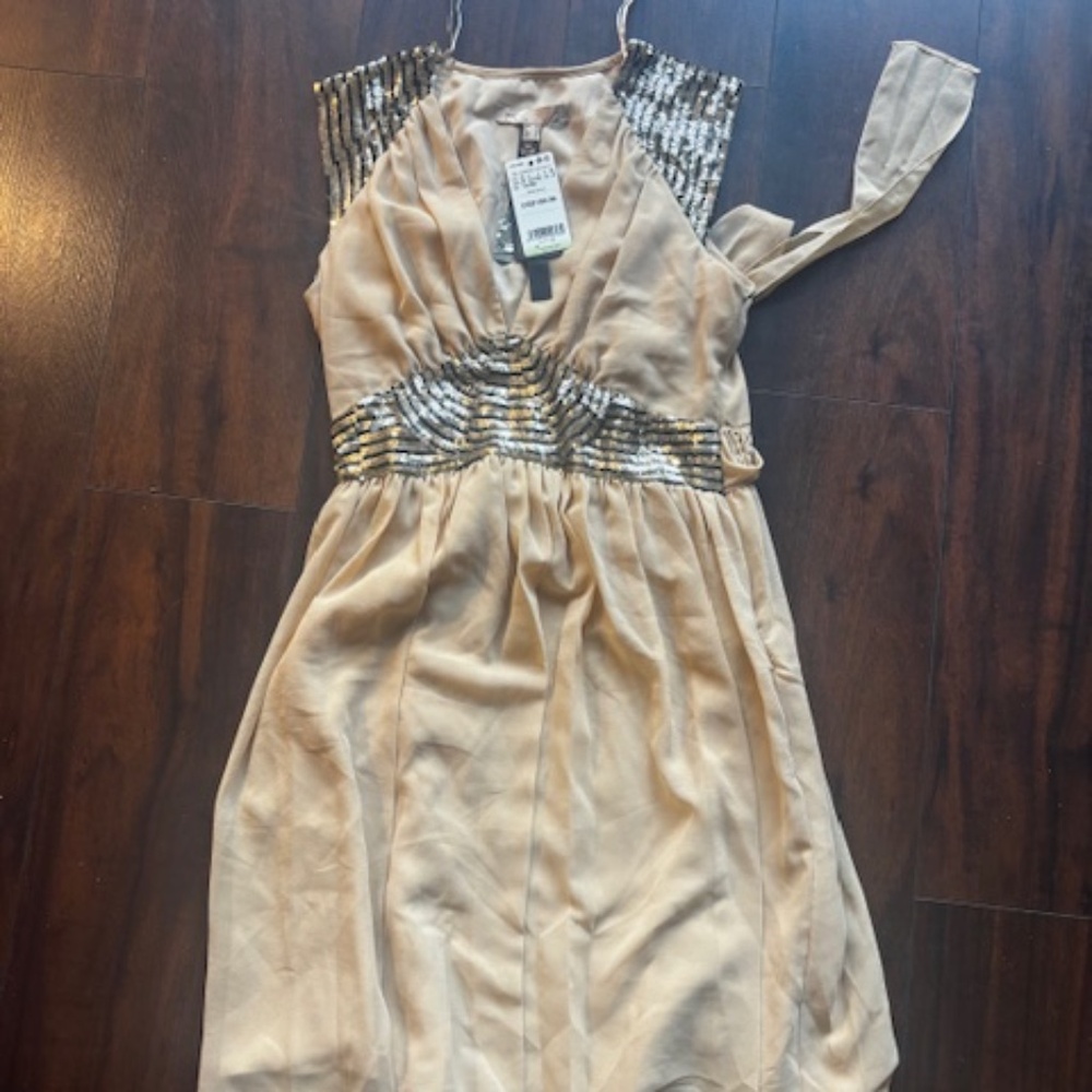 Mango Dress